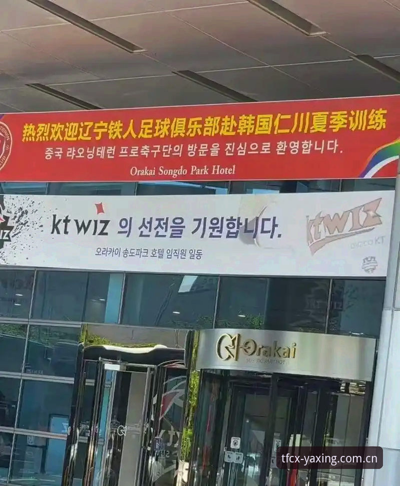 辽宁铁人夏训换血，避坑要点有哪些？