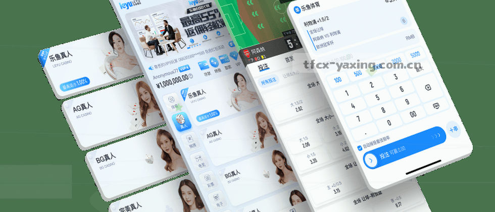 保护隐私，与你共行